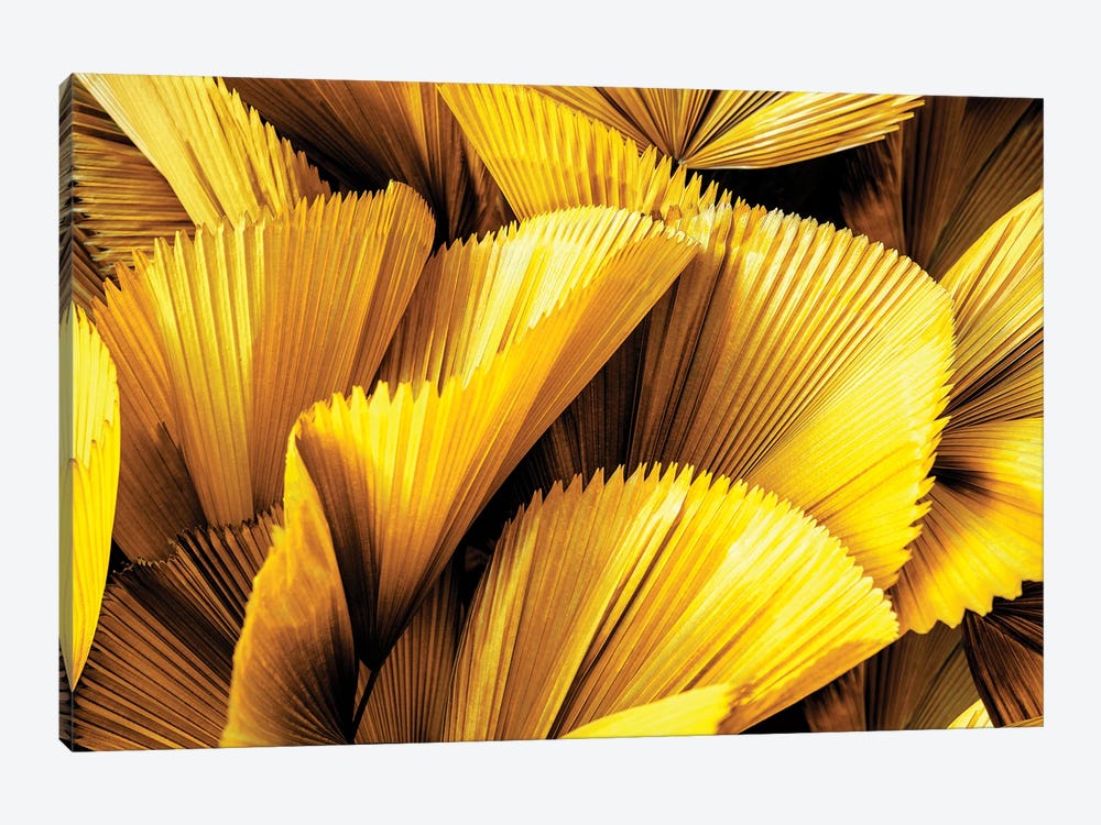 Golden Palm Leaves by Philippe Hugonnard 1-piece Canvas Wall Art