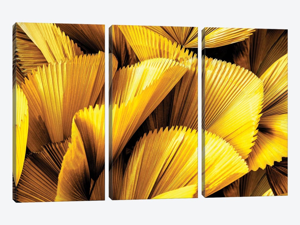 Golden Palm Leaves by Philippe Hugonnard 3-piece Canvas Art