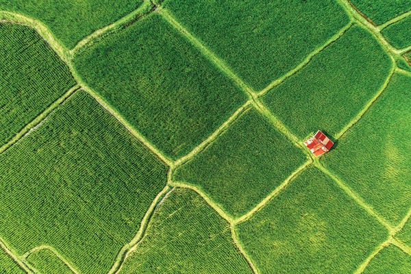 Monochromatic Photography: Alone - Deamy Bali by Philippe Hugonnard