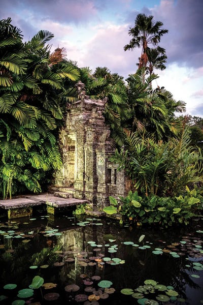 Fine Art Print: Jungle Gate by Philippe Hugonnard