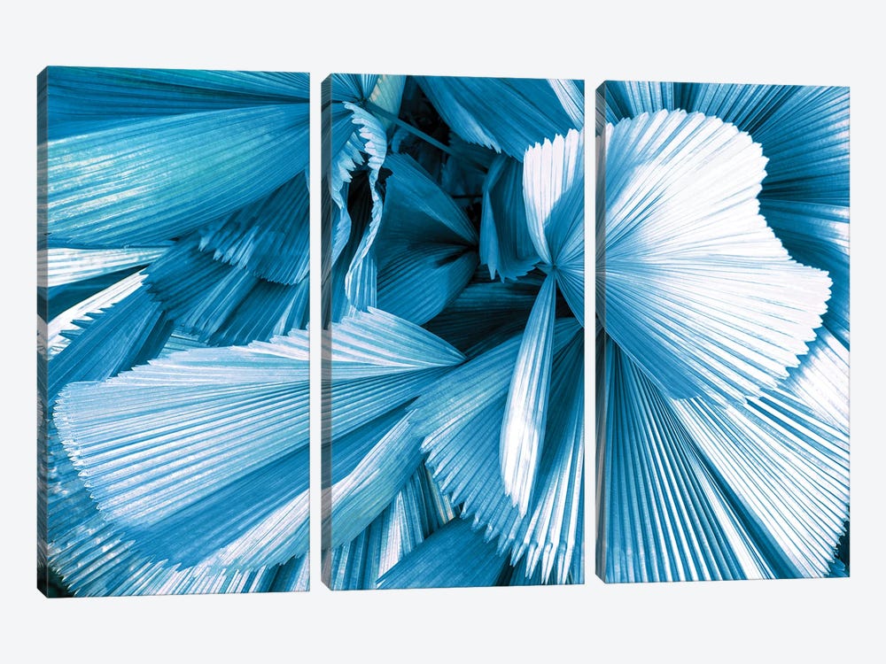 Blue Palm Leaves by Philippe Hugonnard 3-piece Canvas Wall Art