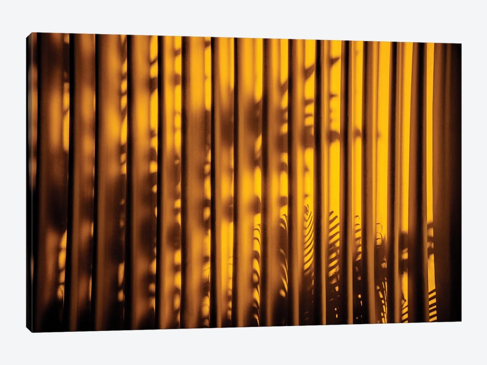 Yellow Curtain Shadow II by Philippe Hugonnard 1-piece Canvas Artwork