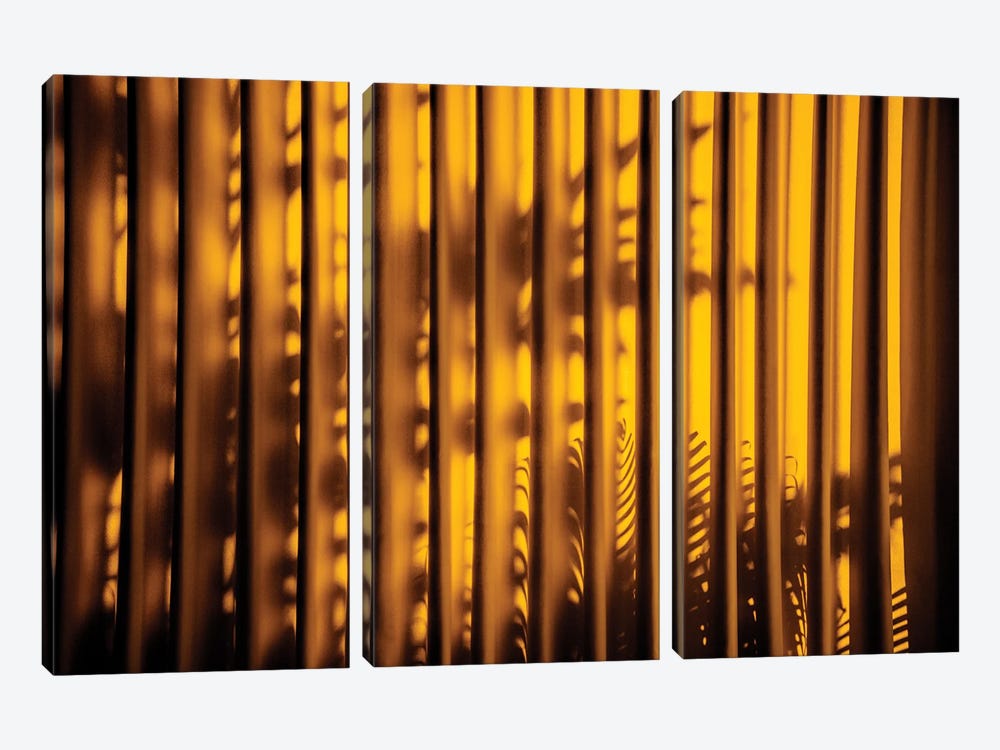 Yellow Curtain Shadow II by Philippe Hugonnard 3-piece Canvas Art