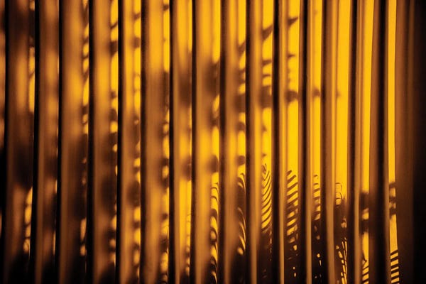 Monochromatic Photography: Yellow Curtain Shadow II by Philippe Hugonnard