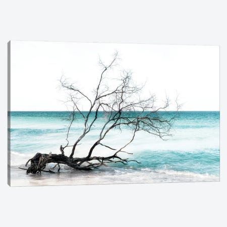 Seagreen Beach Canvas Print #PHD2780} by Philippe Hugonnard Canvas Art