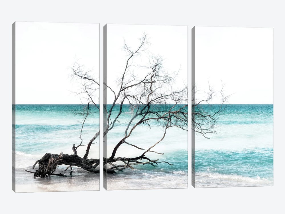 Seagreen Beach by Philippe Hugonnard 3-piece Art Print