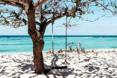 Swing Tree by Philippe Hugonnard canvas print