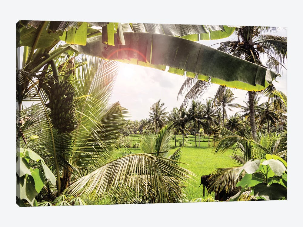 View Of The Rice Fields by Philippe Hugonnard 1-piece Canvas Print