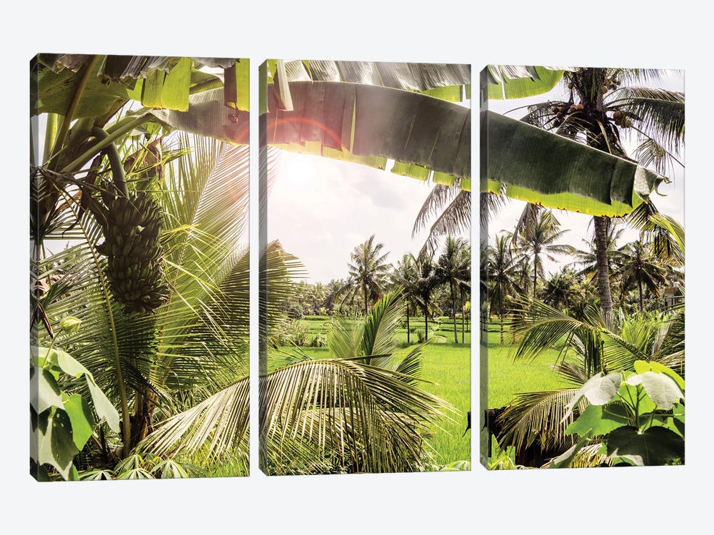 View Of The Rice Fields by Philippe Hugonnard 3-piece Canvas Print