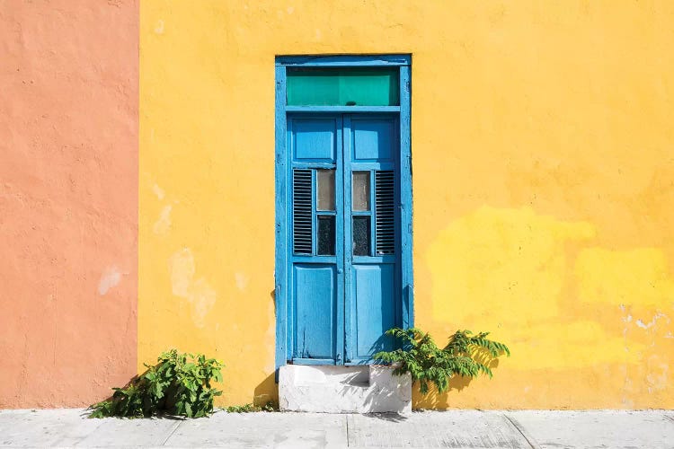 Colorful Street Wall