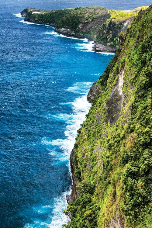 Green Cliff by Philippe Hugonnard wall art