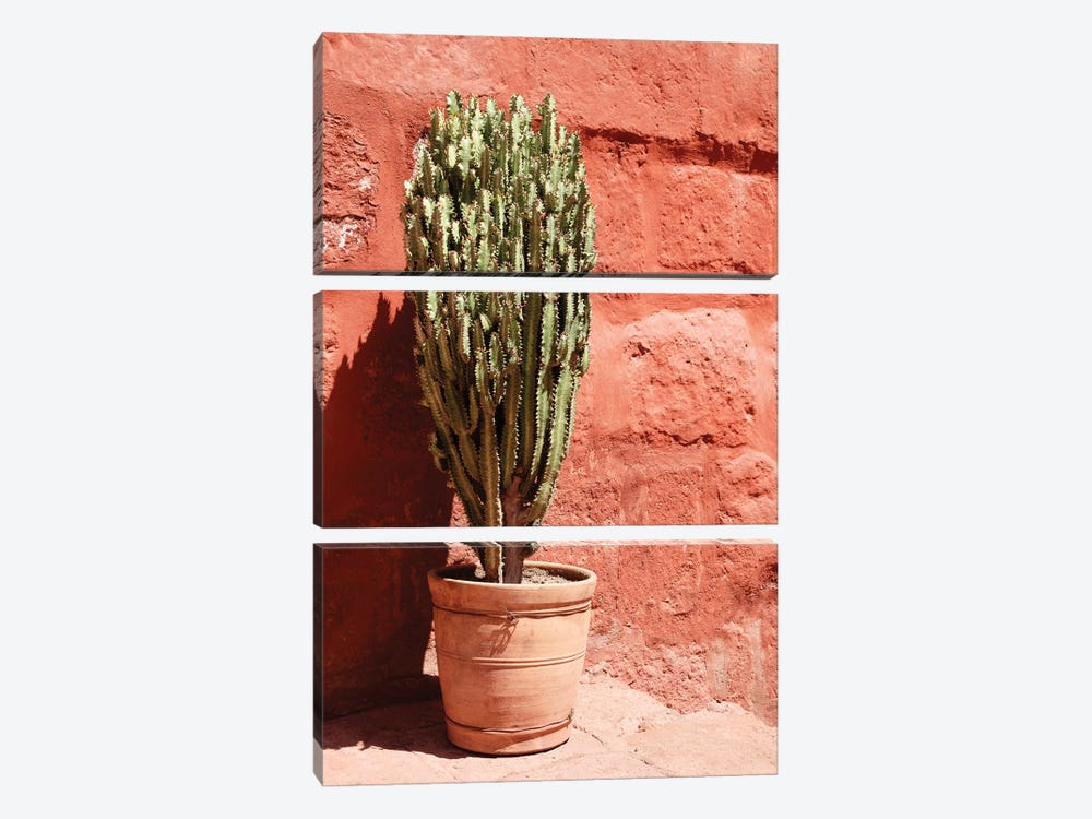 Terracotta Cactus by Philippe Hugonnard 3-piece Canvas Art