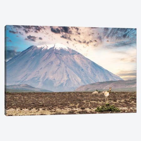 El Misti Stratovolcano Canvas Print #PHD2832} by Philippe Hugonnard Canvas Art