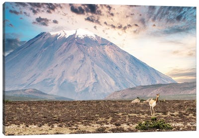 El Misti Stratovolcano Canvas Art Print - Peru Art