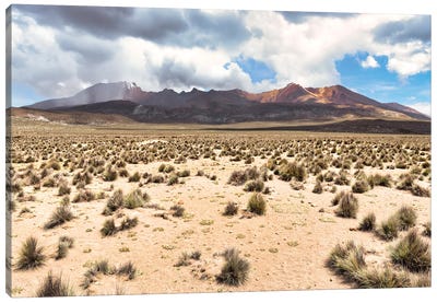 Peruvian Andes Desert Canvas Art Print