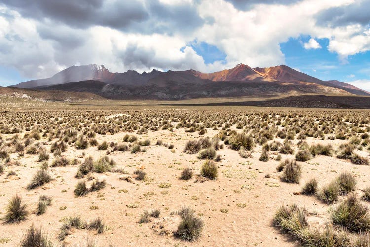 Peruvian Andes Desert