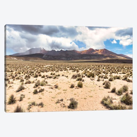 Peruvian Andes Desert Canvas Print #PHD2837} by Philippe Hugonnard Art Print
