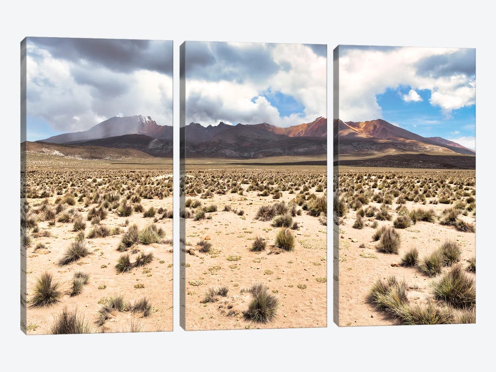Peruvian Andes Desert by Philippe Hugonnard 3-piece Canvas Print