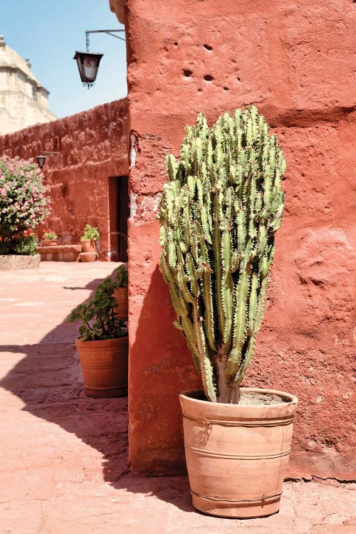 Santa Catalina Red Walls