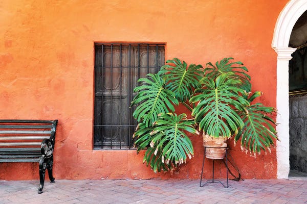 Monsteras: Terracotta Gradient by Philippe Hugonnard
