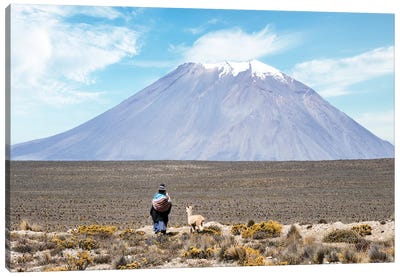 El Misti Volcano Canvas Art Print - Llama & Alpaca Art