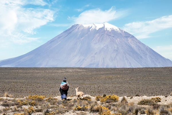 Llamas & Alpacas: El Misti Volcano by Philippe Hugonnard