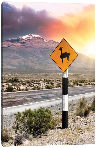 Llama Warning Canvas Art Print - Peru Art