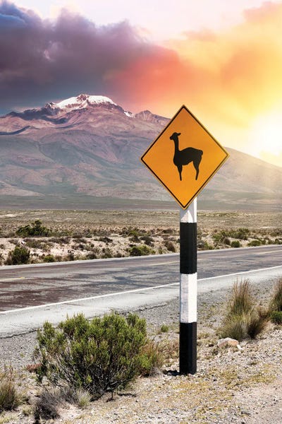 Peru: Llama Warning by Philippe Hugonnard