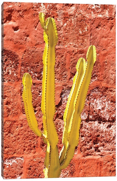 Yellow Cactus Canvas Art Print - Cactus Art