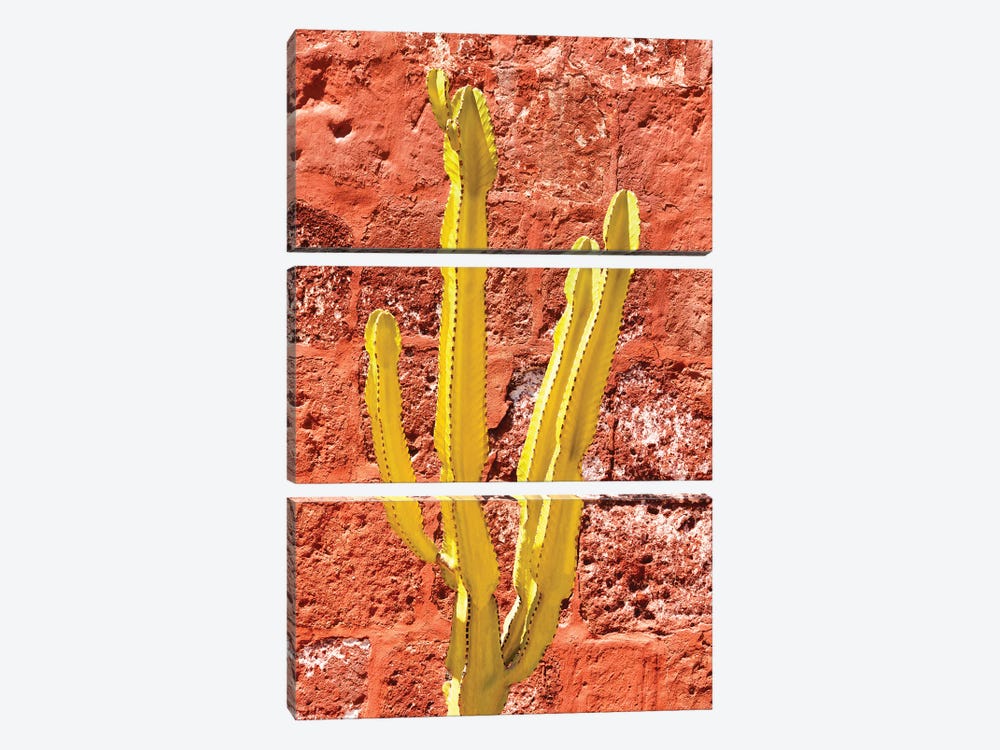 Yellow Cactus by Philippe Hugonnard 3-piece Canvas Print