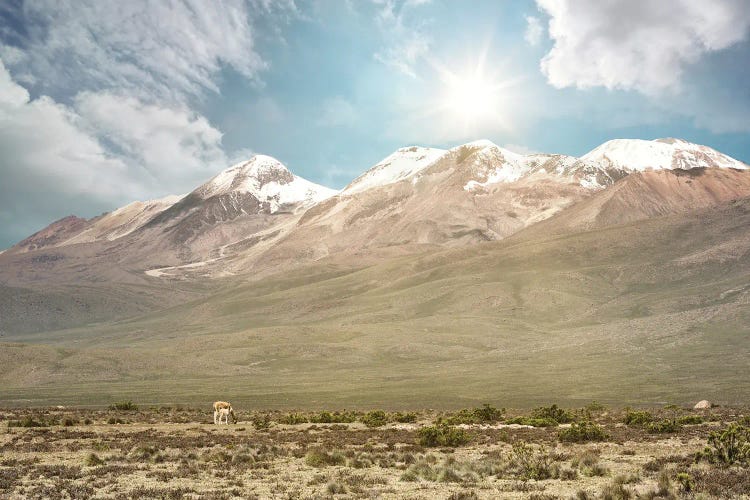 Andean Mountain Range