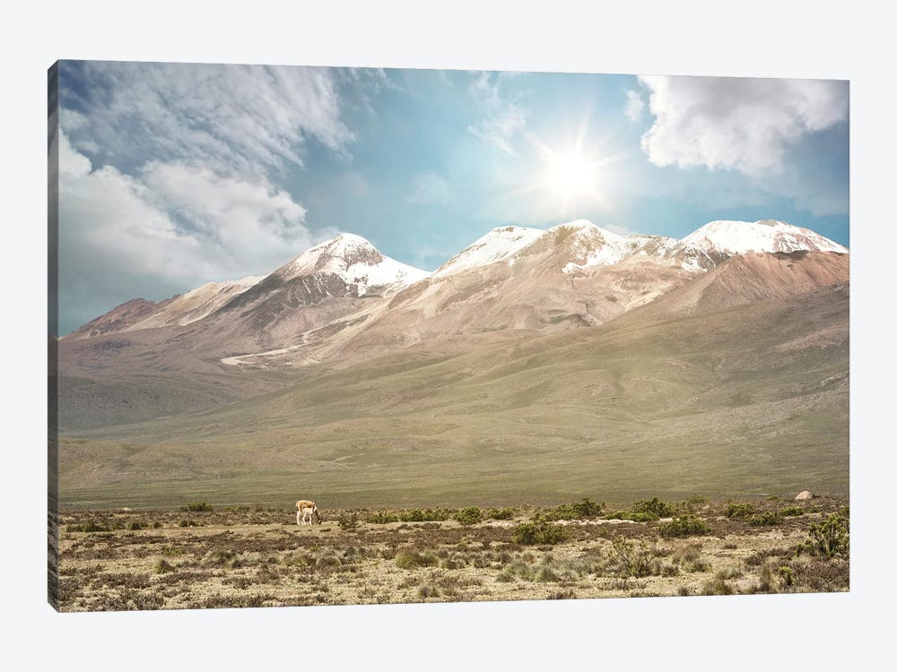 Andean Mountain Range by Philippe Hugonnard 1-piece Canvas Art Print