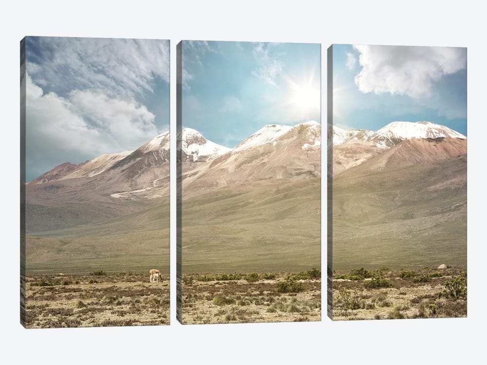 Andean Mountain Range by Philippe Hugonnard 3-piece Art Print