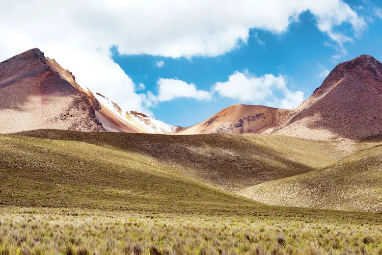 Andean Mountain