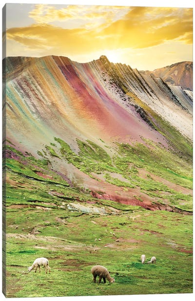 Rainbow Mountain At Sunset Canvas Art Print - Llama & Alpaca Art