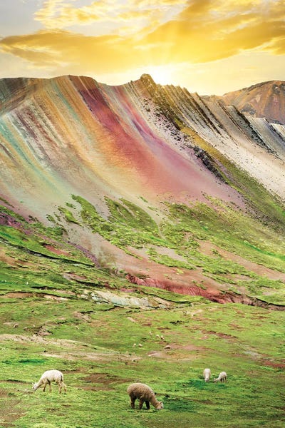 Llamas & Alpacas: Rainbow Mountain At Sunset by Philippe Hugonnard