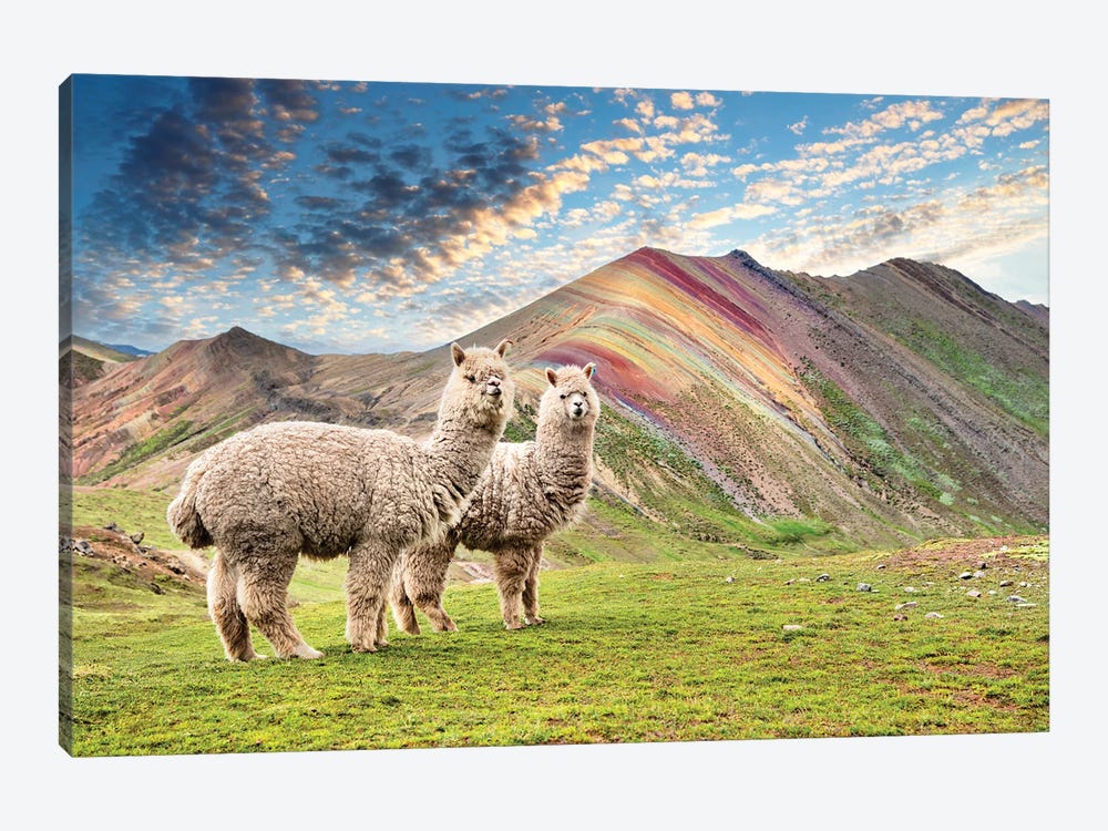 Palcoyo Alpacas by Philippe Hugonnard 1-piece Canvas Artwork