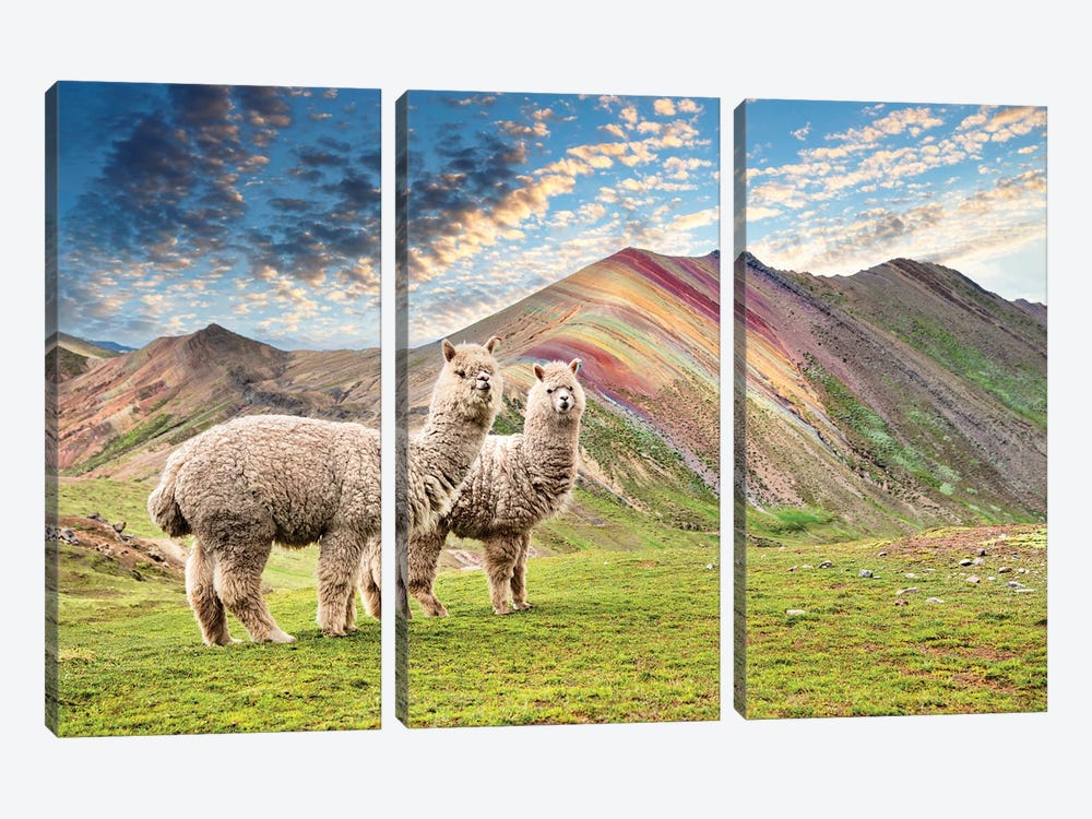 Palcoyo Alpacas by Philippe Hugonnard 3-piece Canvas Wall Art