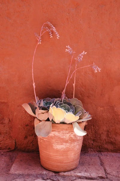 Monochromatic Photography: Terracotta by Philippe Hugonnard