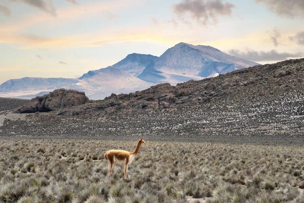 Peru: Lonely by Philippe Hugonnard