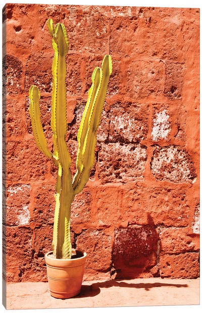 Yellow Red Wall Canvas Art Print - Cactus Art