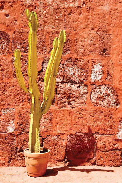 Yellow Red Wall