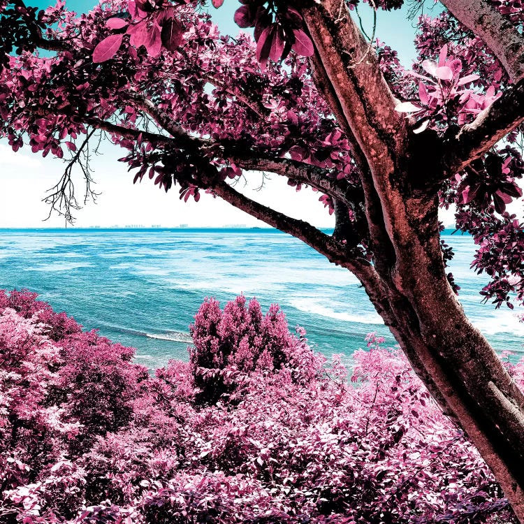 Pink Paradise by Philippe Hugonnard wall art