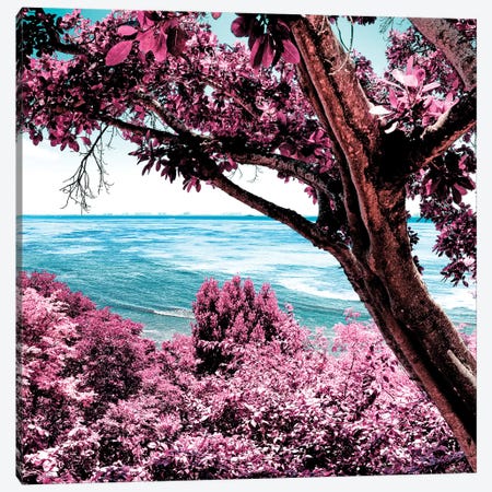 Pink Paradise Canvas Print #PHD289} by Philippe Hugonnard Canvas Art