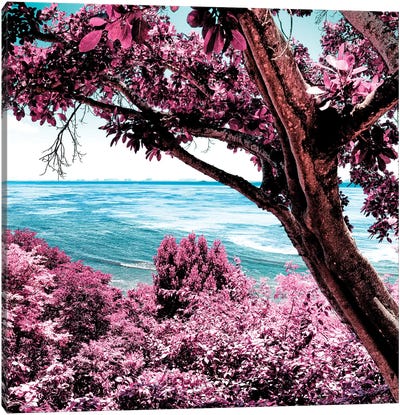 Pink Paradise Canvas Art Print - Black & Pink Art