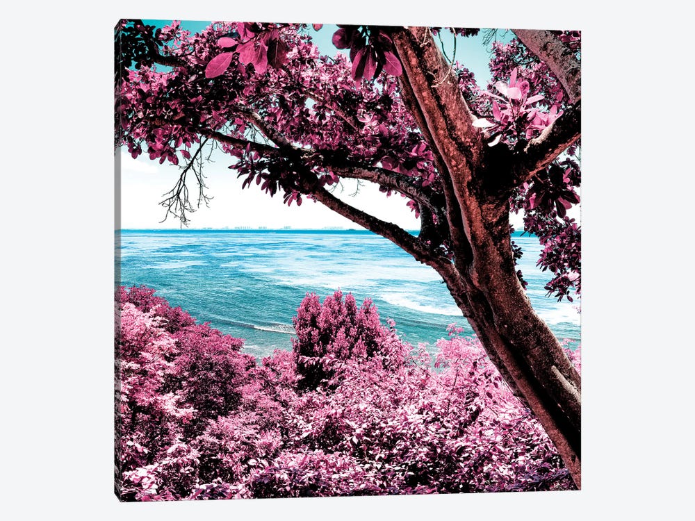 Pink Paradise by Philippe Hugonnard 1-piece Canvas Wall Art