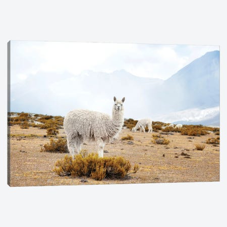 Diamonds Of The Andes Canvas Print #PHD2906} by Philippe Hugonnard Canvas Art Print