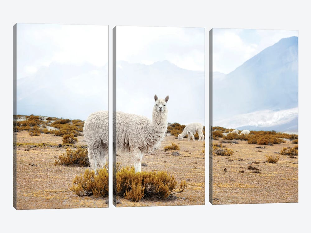Diamonds Of The Andes by Philippe Hugonnard 3-piece Canvas Art