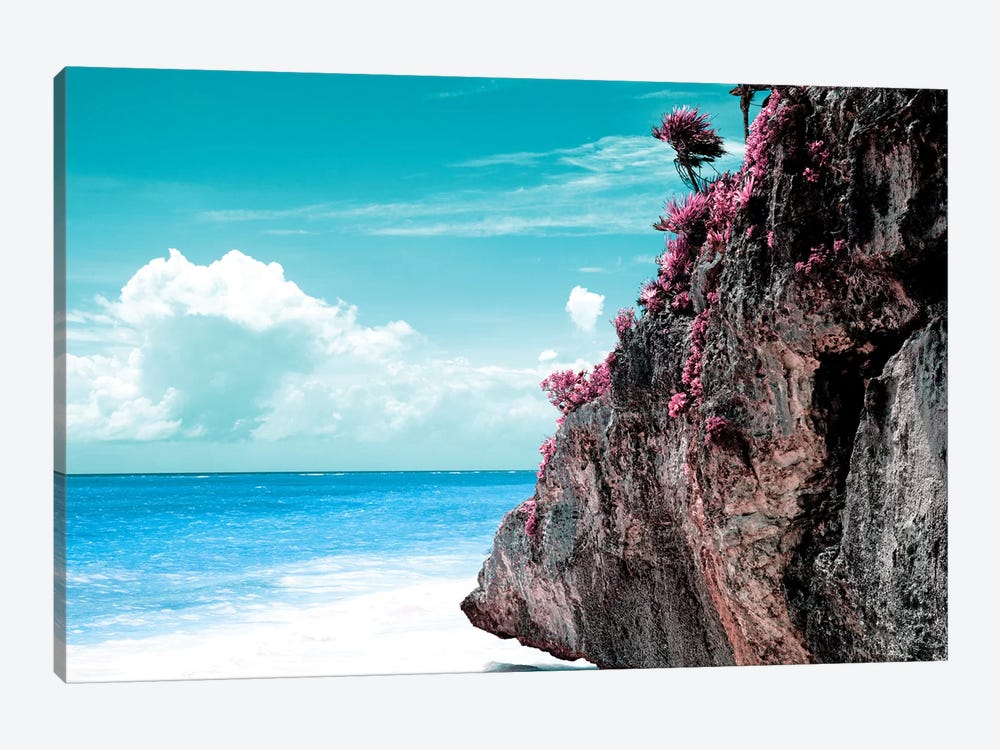 Pink Rock by Philippe Hugonnard 1-piece Canvas Wall Art