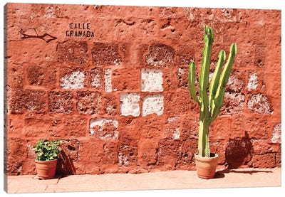 Calle Granada Canvas Art Print - Cactus Art